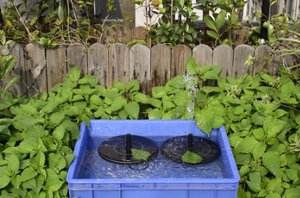 Solar Panel for Bird Bath Garden