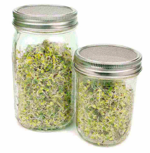 Stainless Steel Sprouting Lids